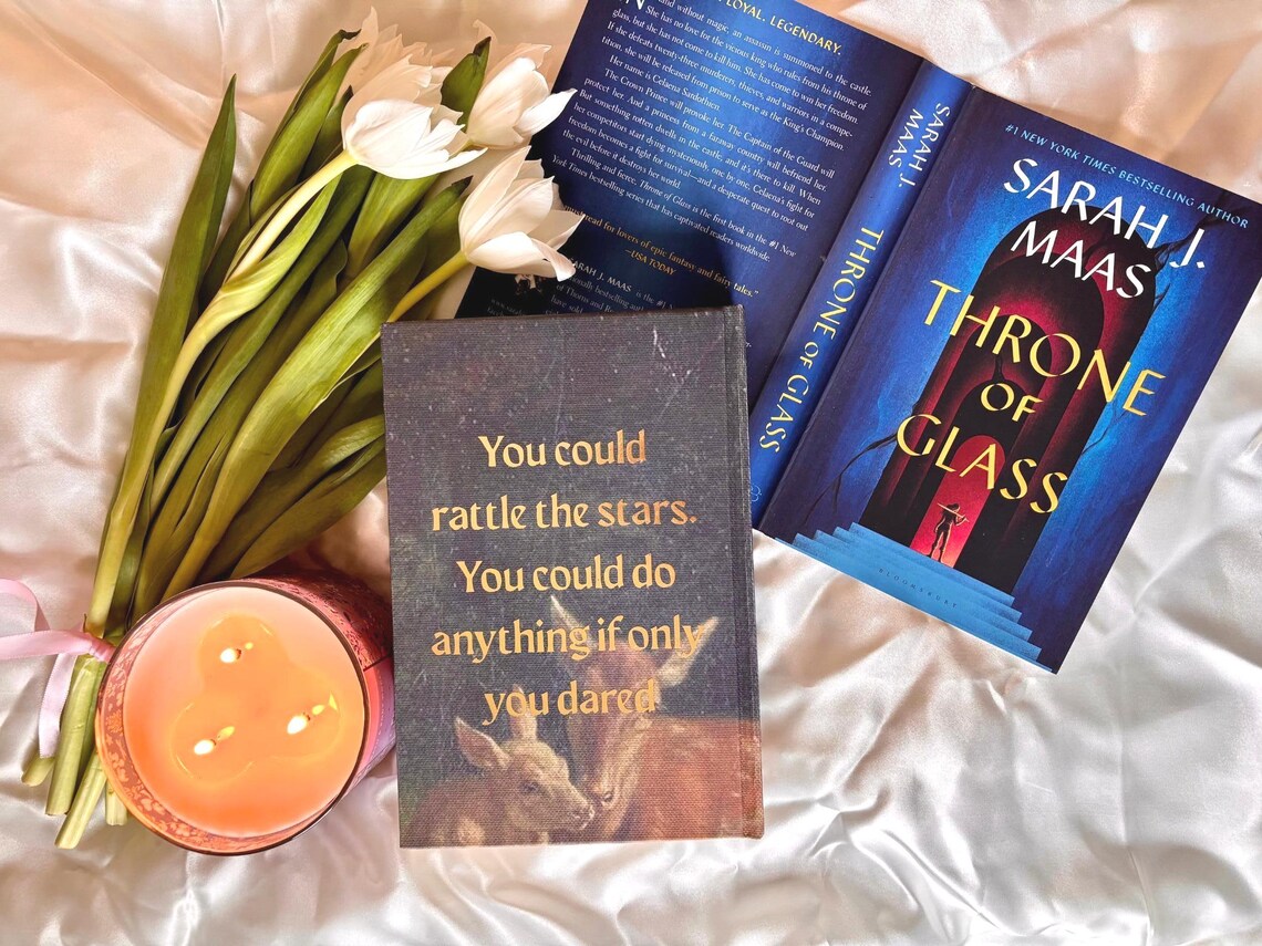 Throne of Glass full Series Rebind by Sarah J Maas
